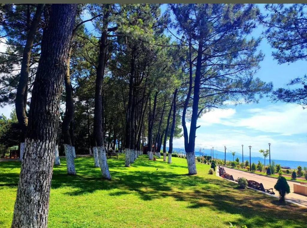 a group of trees in a park with the ocean in the background at Ferienhaus in Georgien, Kobuleti in der Nähe vom Strand in K'obulet'i