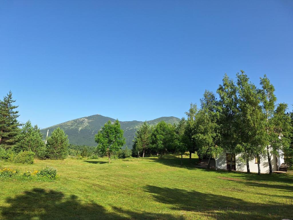 a green field with trees and mountains in the background at Vikendica Ivan Blidinje in Blidinje