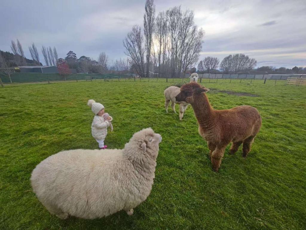 Hideaway of Rotorua - Resim 2