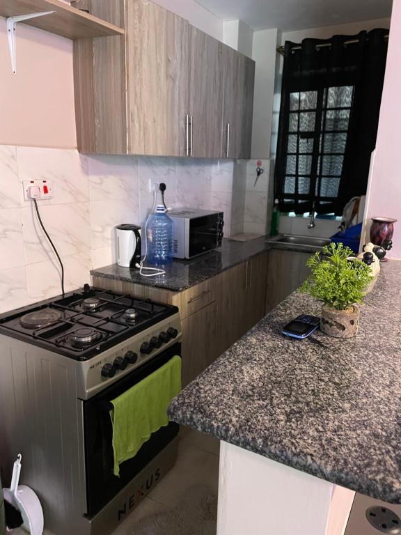 a kitchen with a stove and a counter top at Olivia homes in Nairobi