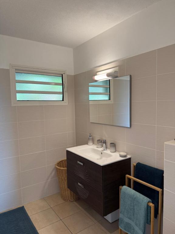 ル・ゴジエにあるVue mer et montagne, piscine, proche de la plage avec citerne d eau et parkingの洗面台と鏡のあるバスルーム