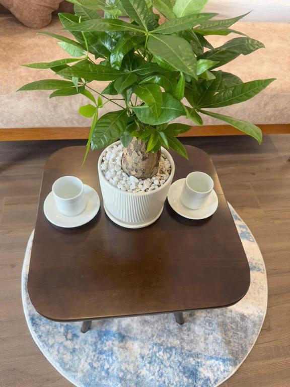 Phòng 2 Giường Đơn Nhìn Ra Hồ.