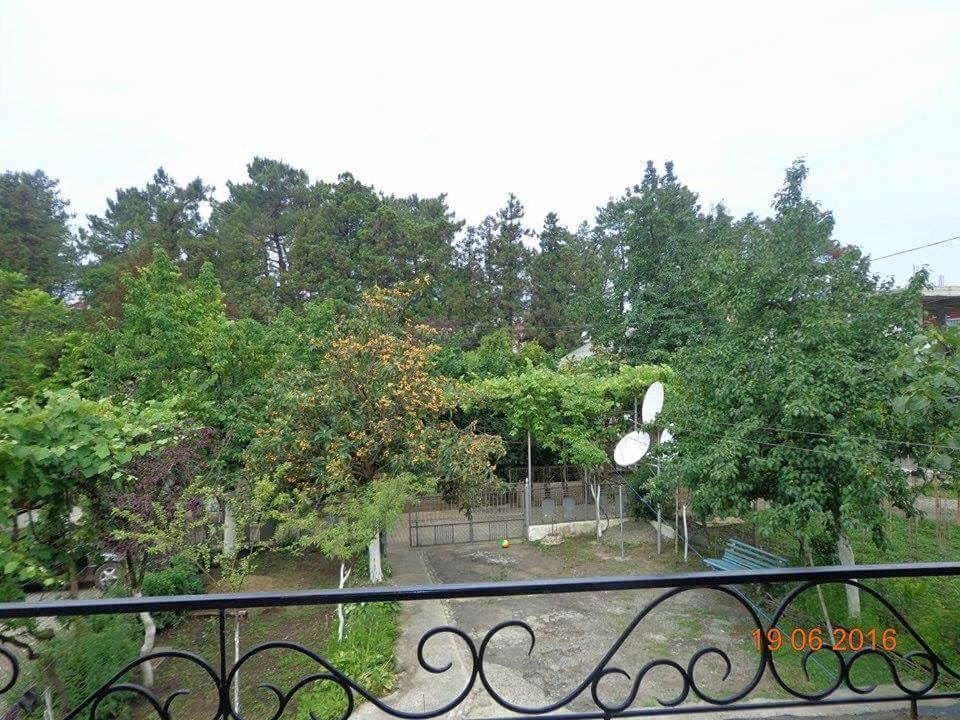 Zahrada ubytování Kobuleti