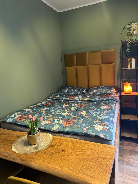 Ảnh trong thư viện ảnh của My Star Apartment ở Maribor