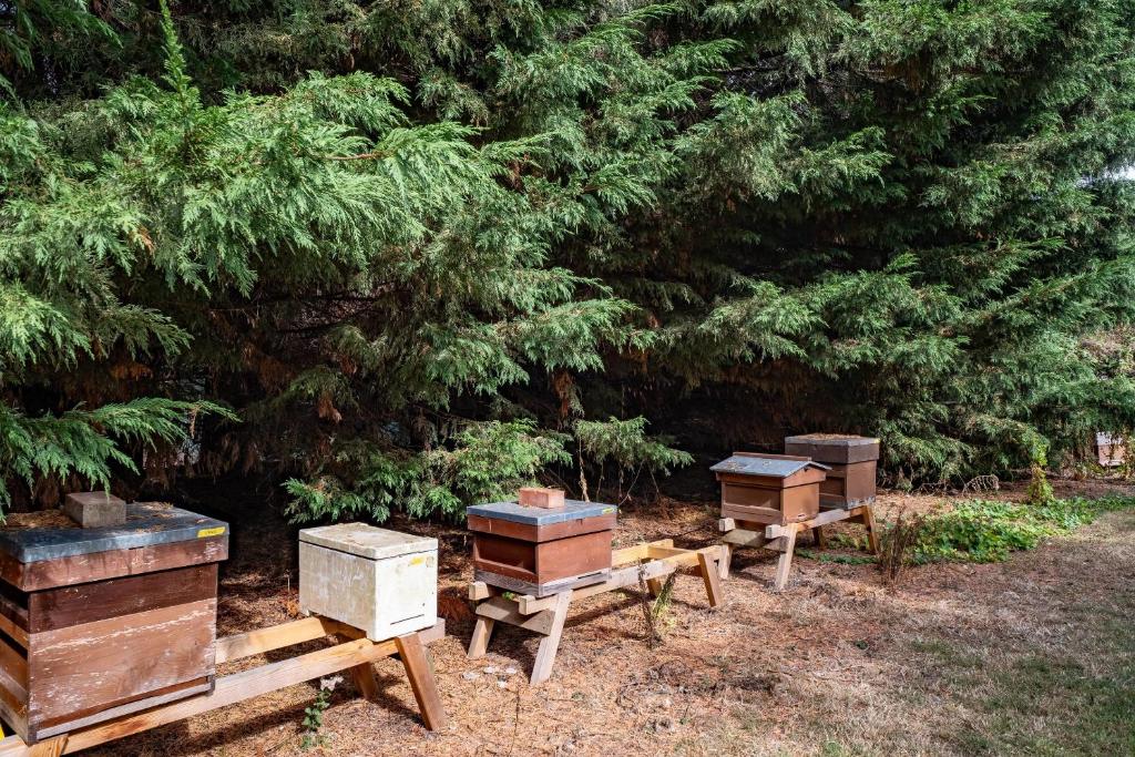 Clarion Hotel Charlecote Pheasant - Resim 28