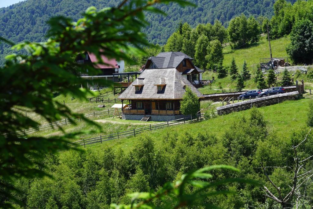 a house on a hill with a train in front of it at Casa Vlădușca in Peştera
