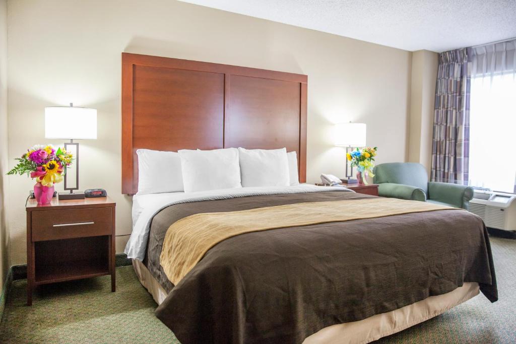 Comfort Inn Pentagon City - King Room - Niet -roken