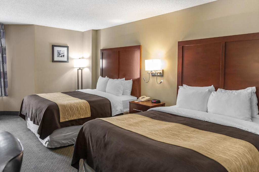 Comfort Inn Pentagon City - Queen Room Met Twee Queensize Bedden - Niet -roken