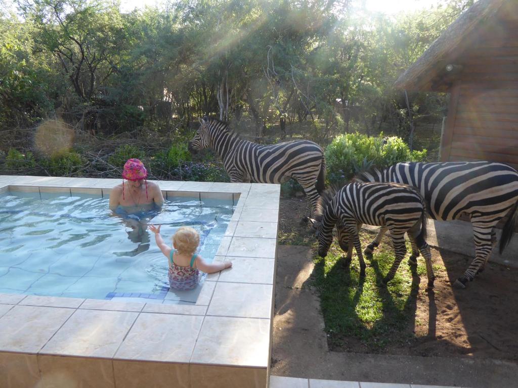 Άλλα ζώα σε αυτή η παραθεριστική κατοικία ή στη γύρω περιοχή