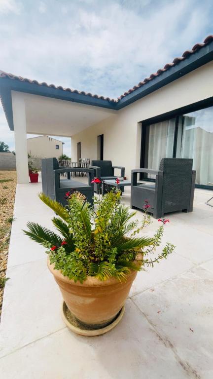 une plante dans un pot sur un patio dans l'établissement Superbe villa climatisée, à Connaux