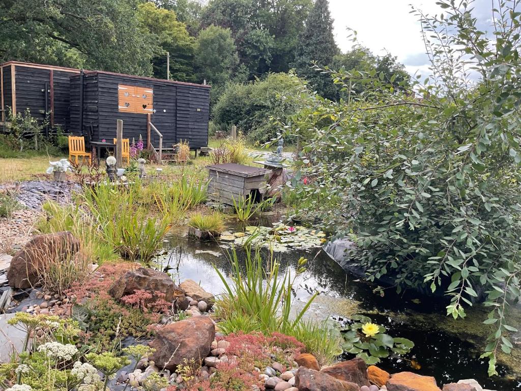 a garden with a pond and a wooden shed at Vigo Retreat cabin 2 in Vigo Village