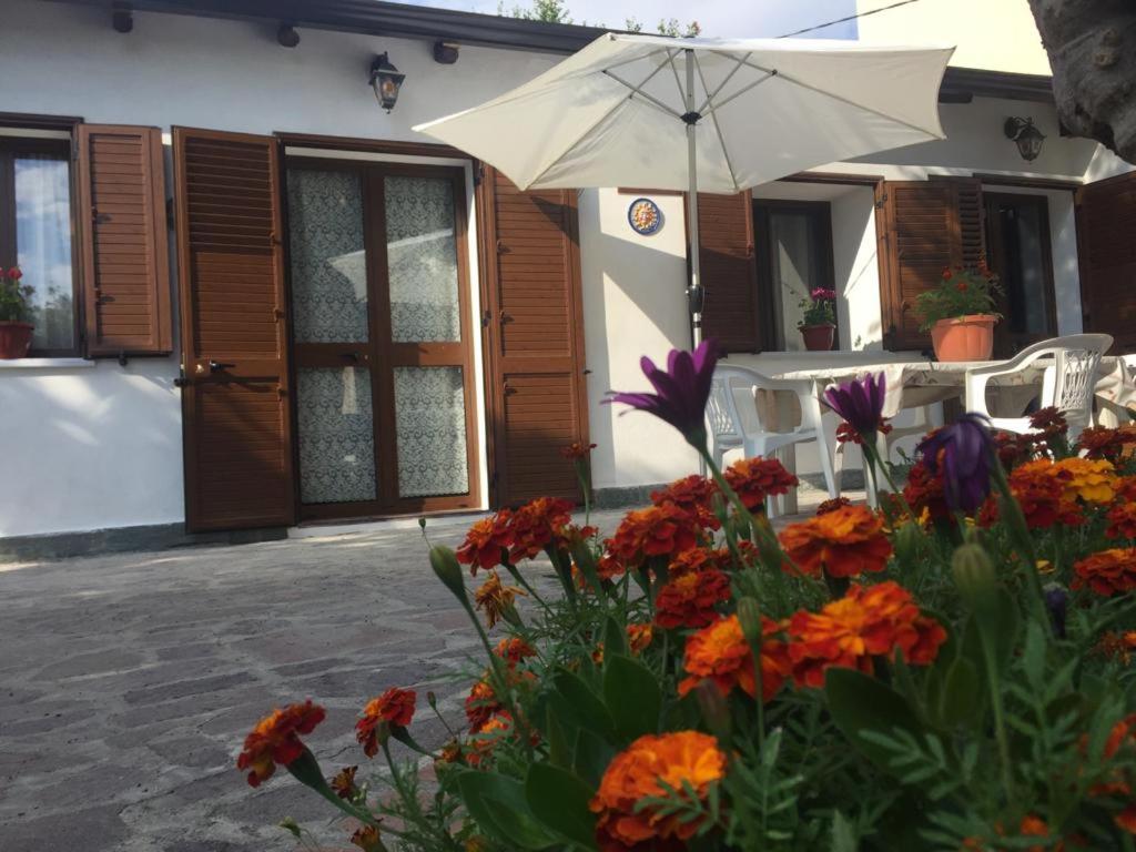 un patio avec un parasol et des fleurs devant une maison dans l'établissement Casa di Genni, à Reggio de Calabre