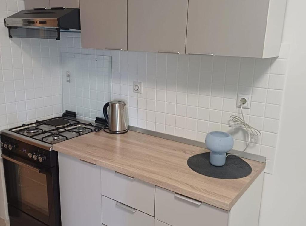Apartment Alba