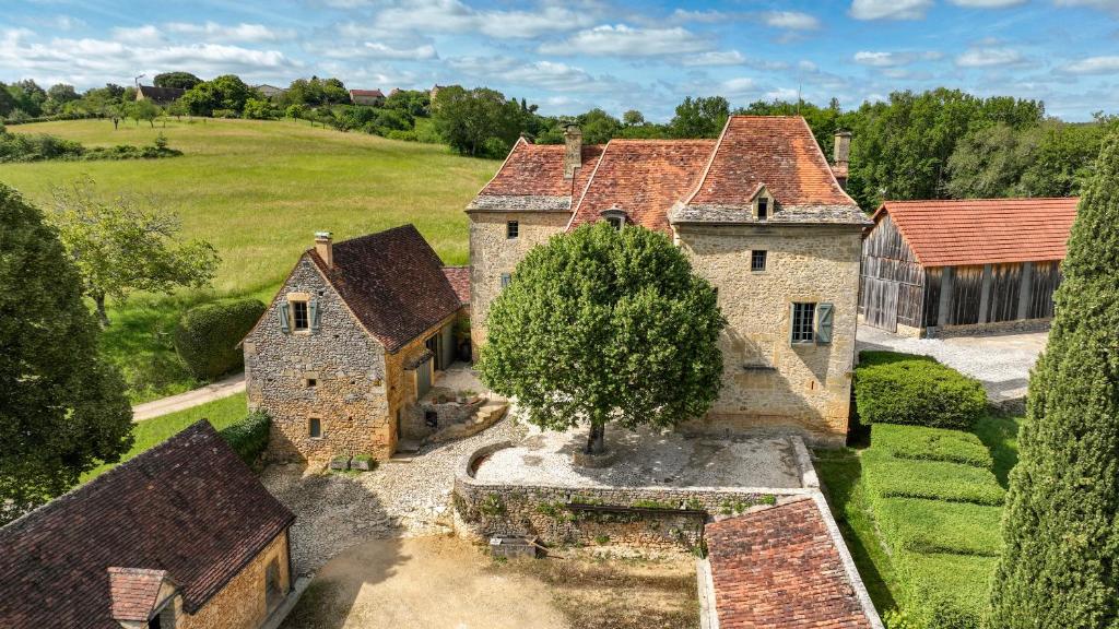 an aerial view of an old house with a tree at Le Mayne in Beynac-et-Cazenac