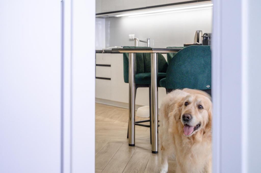 Hestia - Dimitressa 4 - 10