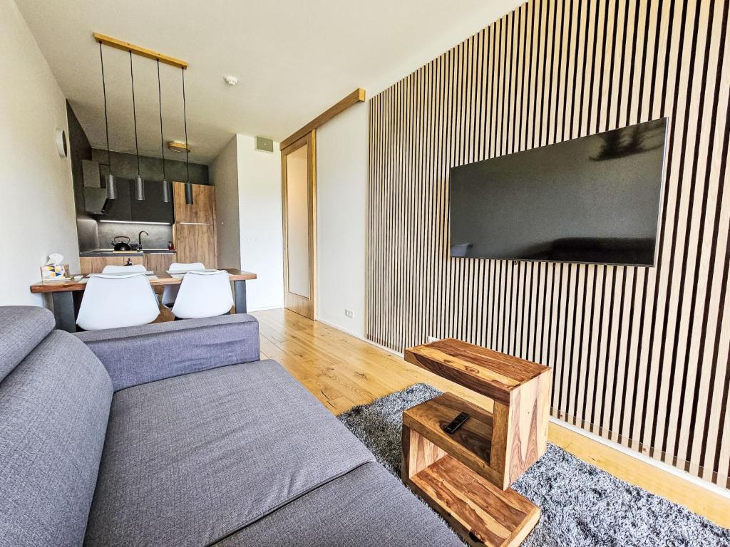 扬斯凯拉兹涅Apartment Ski&Bike Siréna-5 by Interhome的客厅里有一张沙发，墙上有一台电视