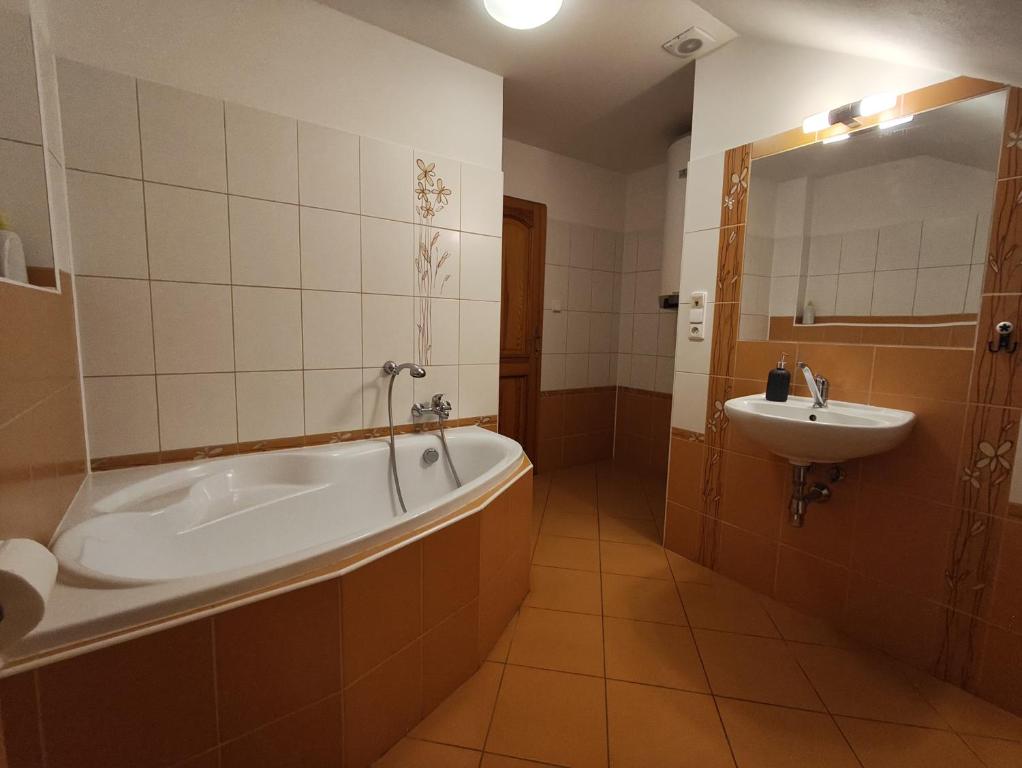 Penzion V Podzámčí Litomyšl - 19