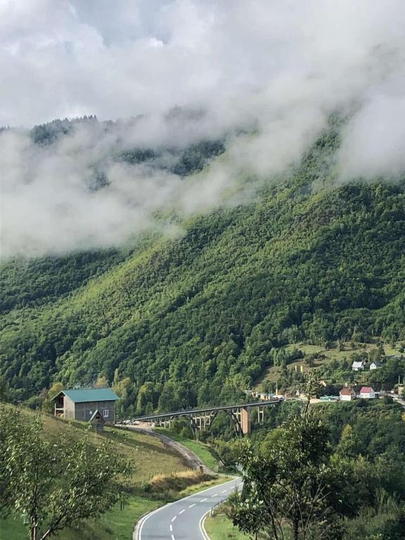 a winding road on a hill with a trainurrencyternessternessternessstrationstrationpects at Rooms DVORIŠTA in Žabljak