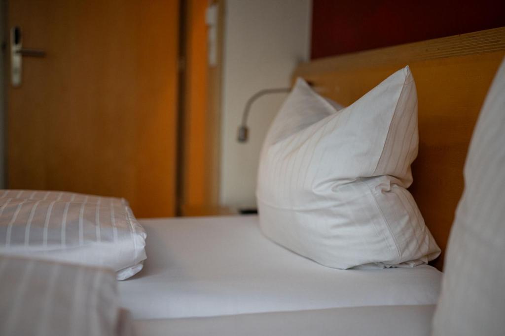 Schäfle Feldkirch-Altenstadt - 17