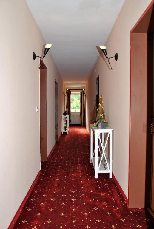 Fotografie z fotogalerie ubytování Pension Elan v destinaci Bayerisch Eisenstein