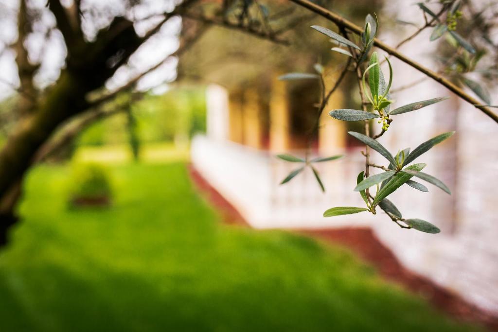 Zahrada ubytování Hotel Venko