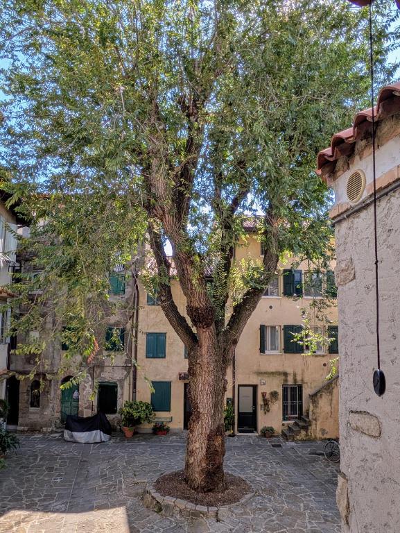 a tree in a courtyard in front of a building at Casa Vianella in Grado