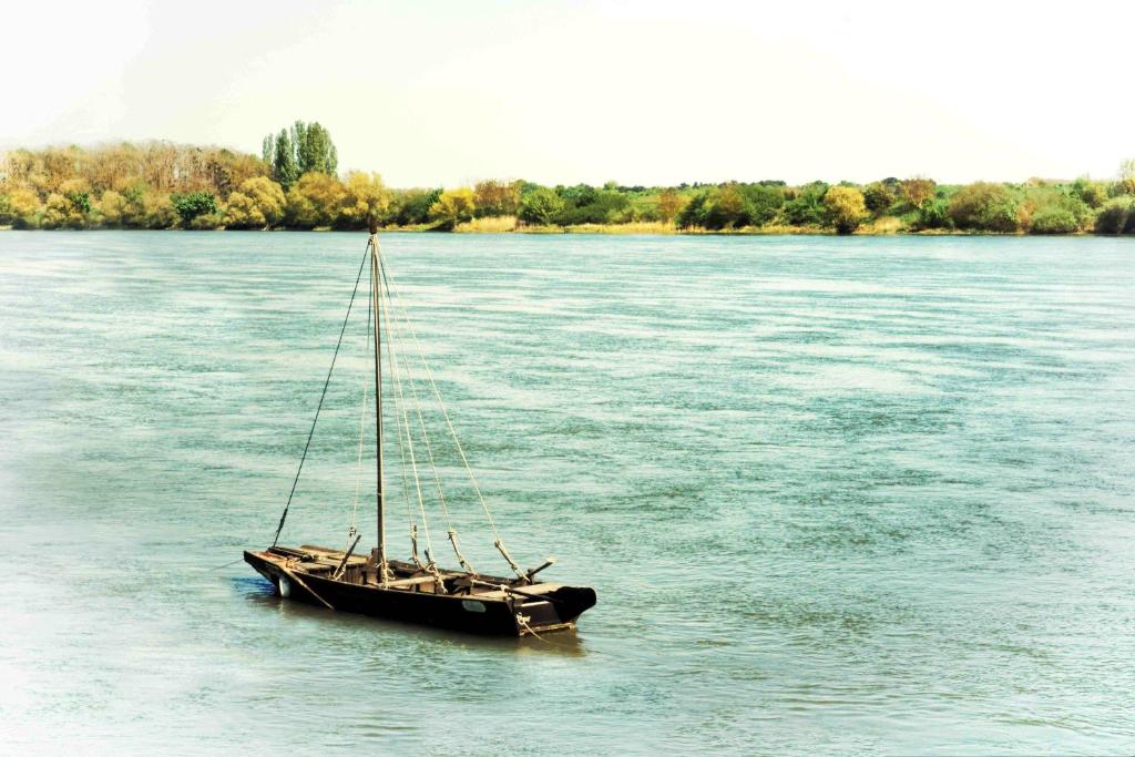 ein Boot, das mitten in einem Fluss sitzt in der Unterkunft Logis Hôtel Le Relais Louis XI in Meung-sur-Loire