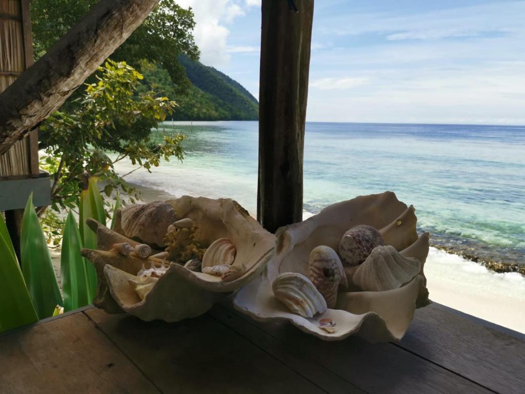 een schelp die op een tafel naast het strand ligt bij Bruno Raja Ampat Homestay in Pulau Mansuar
