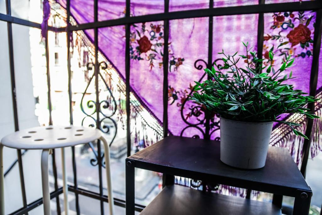 Hotel Maruja en Cascorro - Resim 11