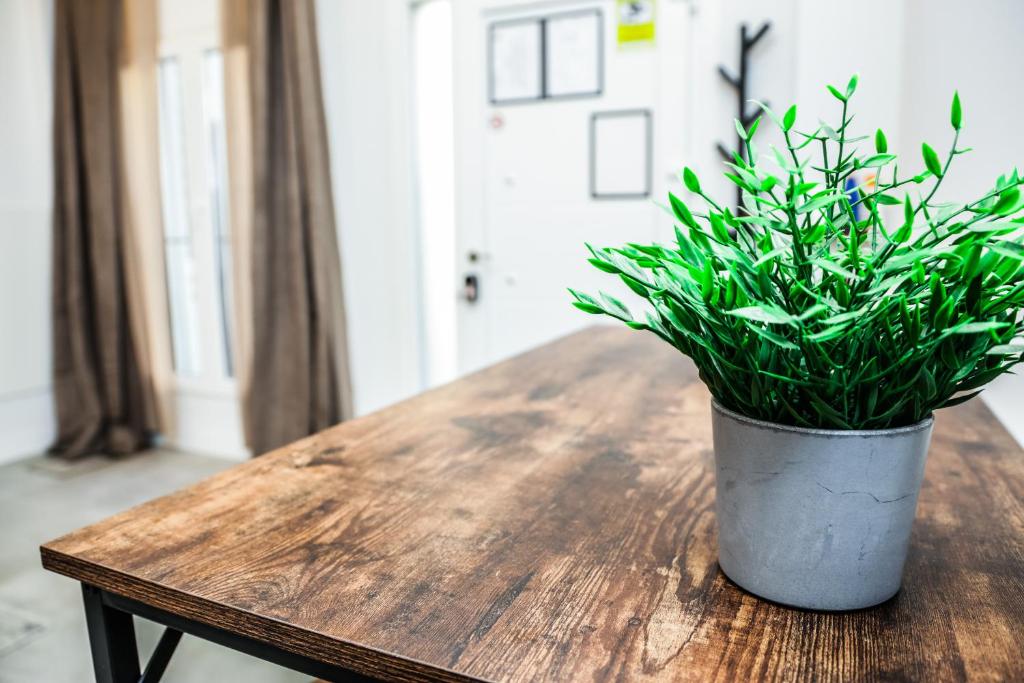 Hotel Maruja en Cascorro - Resim 37