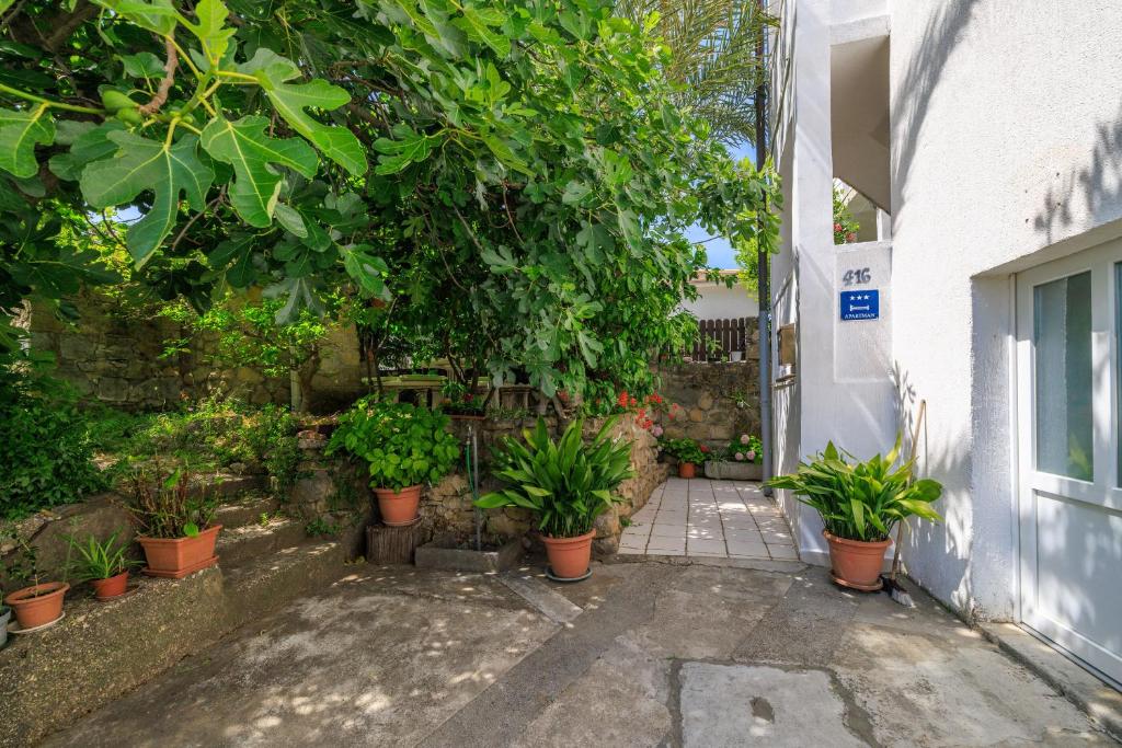 Zahrada ubytování Apartments Jug