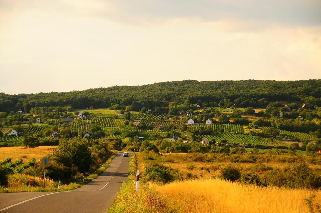 a road leading into a vineyard with a village at Első Ház Tagyon in Tagyon