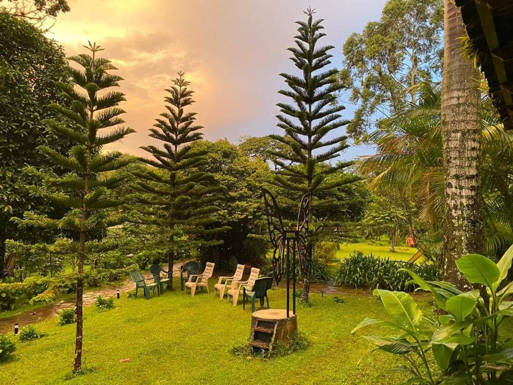 a group of chairs in a park with trees at Finca Eco Turística Aguas del Arenal 