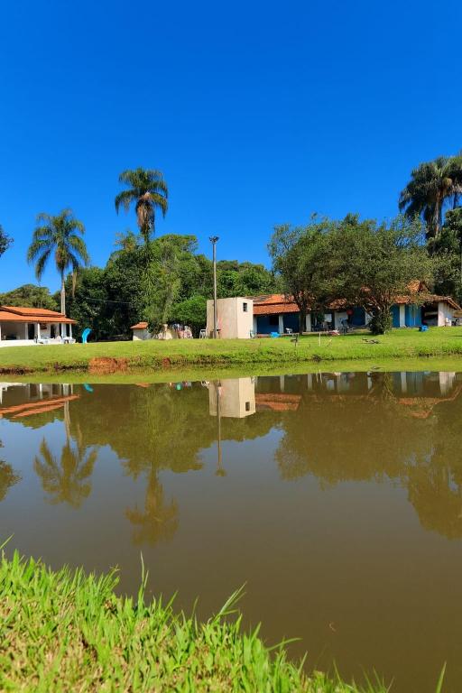 a reflection of a palm tree in a pond at Chácara Pedacinho do Céu in Socorro