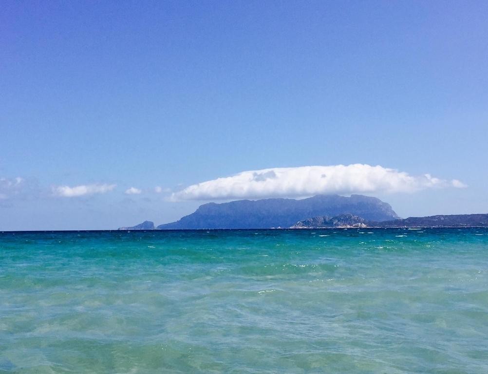 una gran masa de agua con una montaña en el fondo en Il Fenicottero Rosa en Olbia