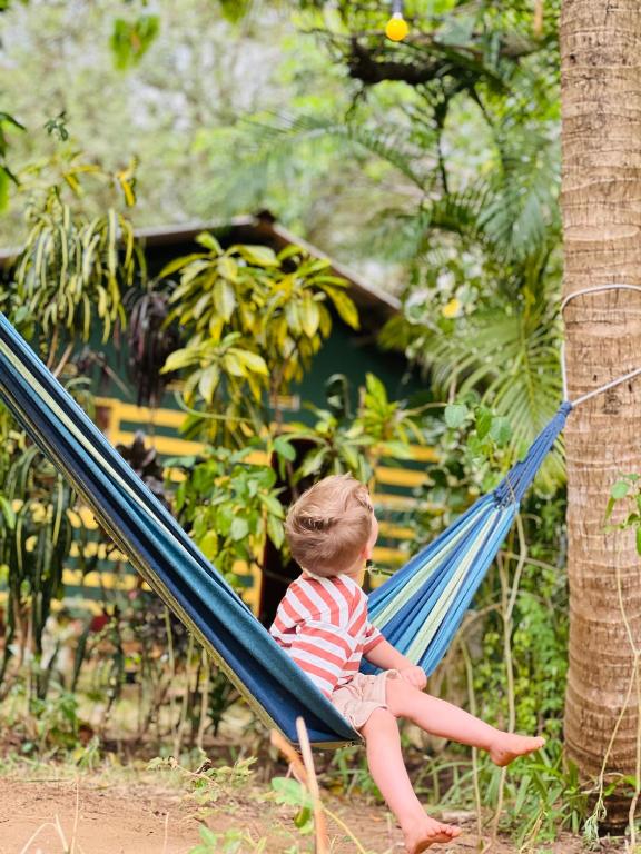 a little boy sitting on a blue slide at Hakuna Matata Hostel in Sigiriya