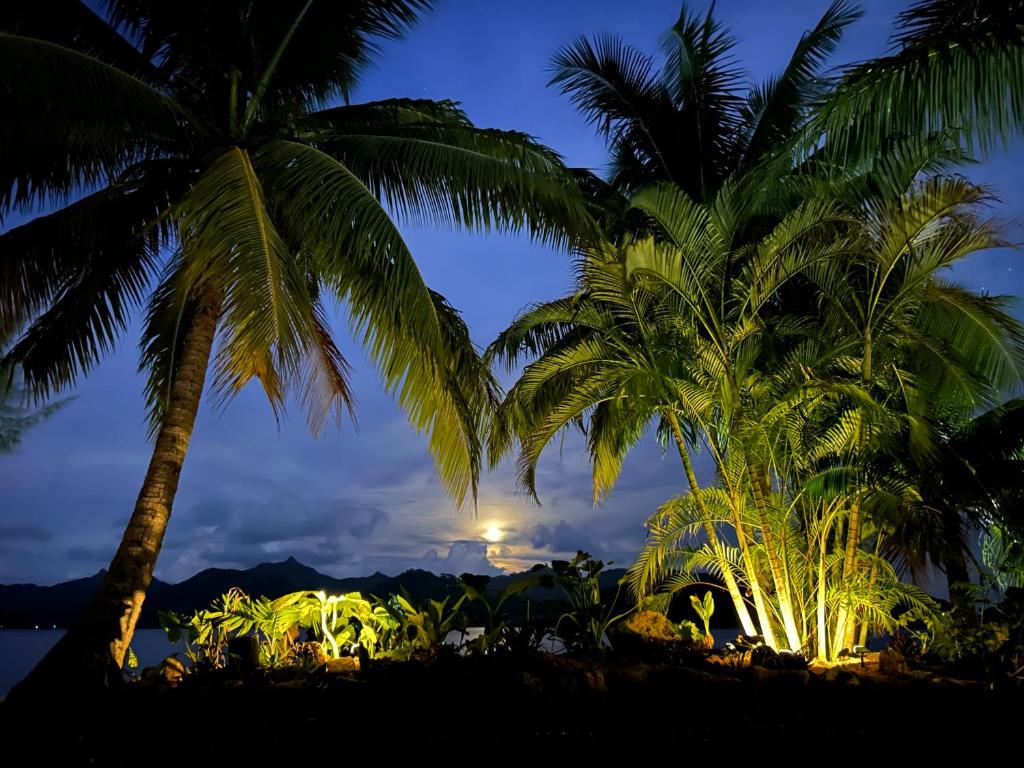 Coco Bay Villa - photo 9 - Huahine, Polynésie