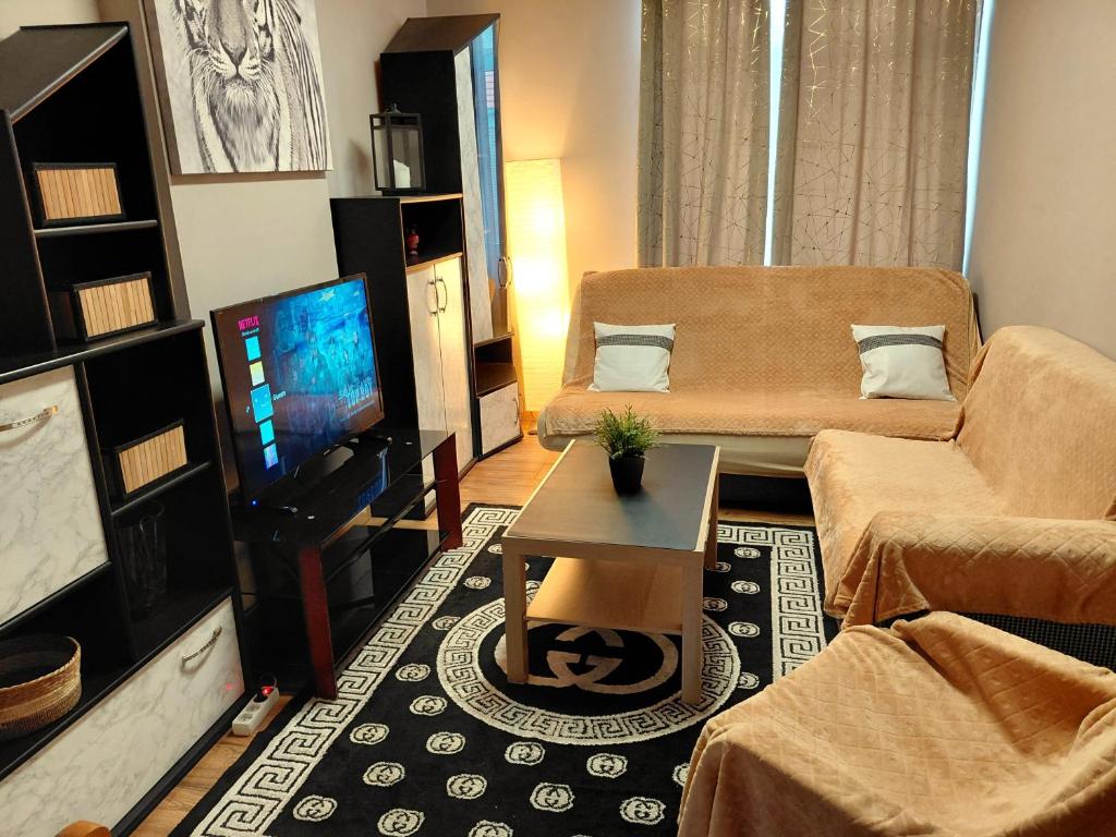 BoutersemにあるSunny days Cozy apartmentのソファとテレビのあるリビングルーム