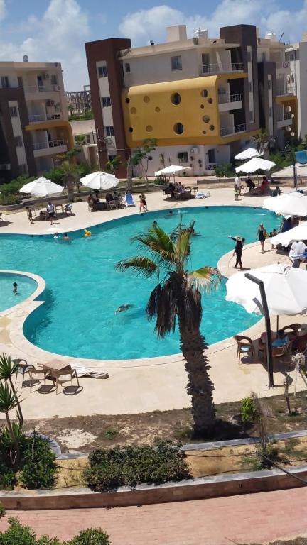a large swimming pool with a palm tree and buildings at قريه سورتلاج مرسي مطرح الفيو المميز in Marsa Matruh