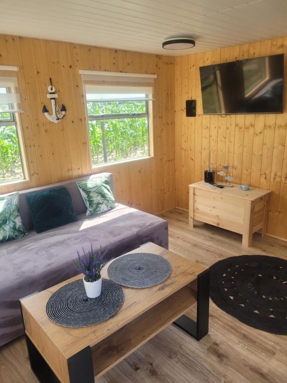 a room with a bed and a table and a tv at domek holenderski in Mieroszyno