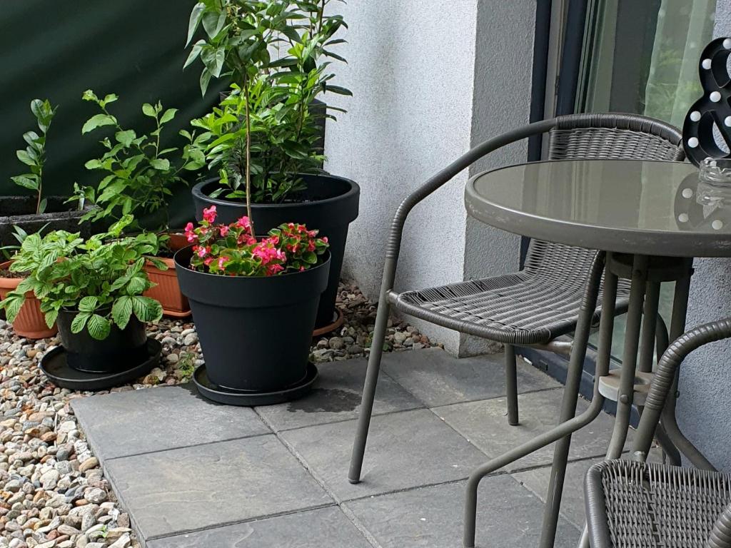 Good Time Apartments Centrum Strzelecka A - 10