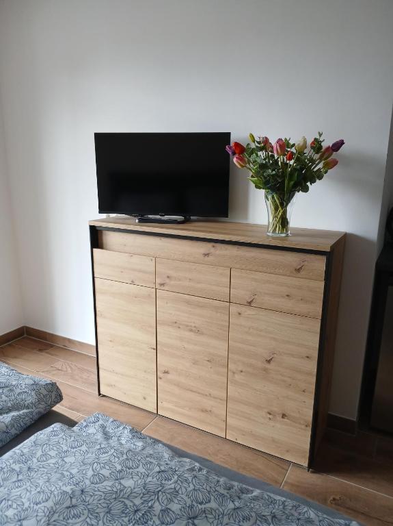 a television on a wooden dresser with a vase of flowers at Ferienhaus Hofmann Strüth 7 in Röttingen