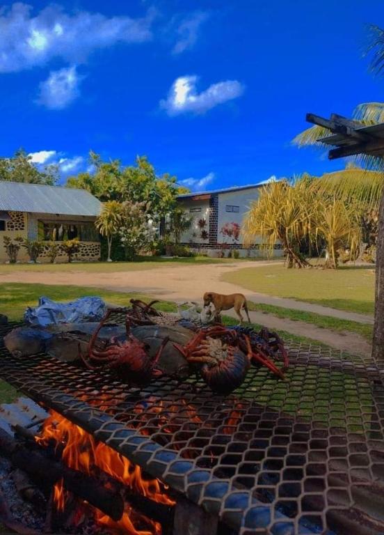 Juanita chambres d'hôtes, Rurutu — hébergement à Rurutu