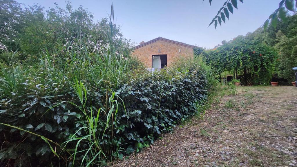 Un edificio con un montón de plantas delante. en Agriturismo Raggio di Sole, en Montepulciano