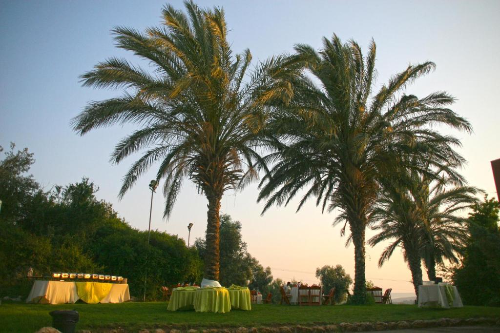 Zahrada ubytování Neve Shalom Hotel
