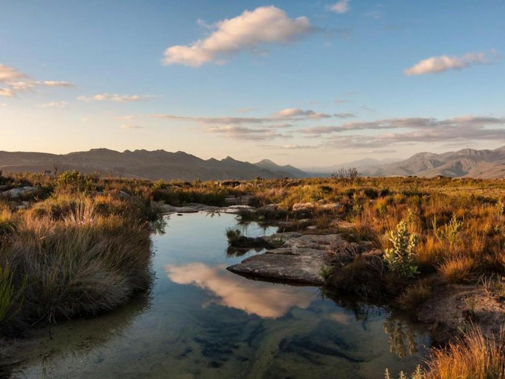 a river in a field with mountains in the background at Cedarpeak Mountain cottages in Piketberg