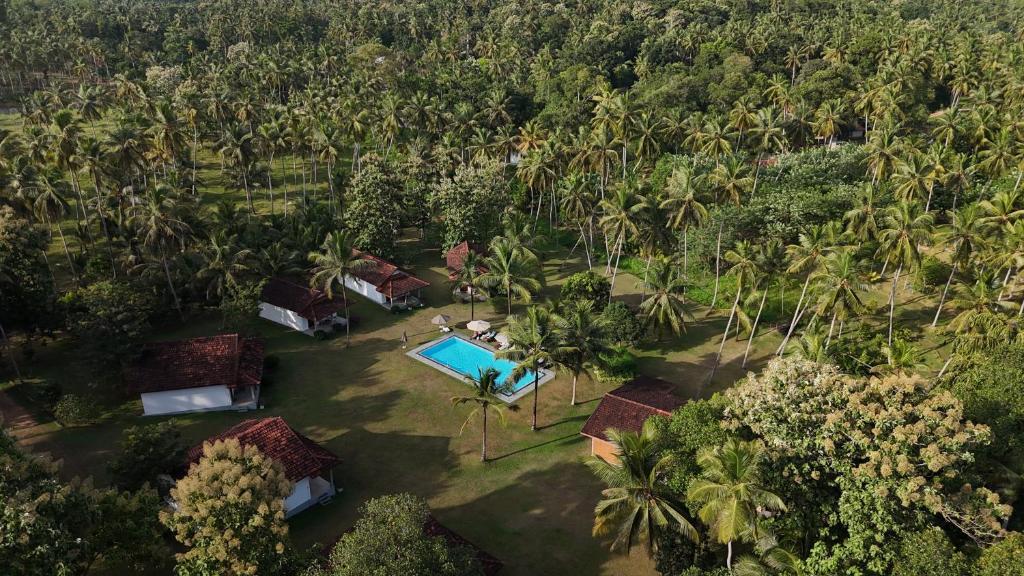 Bazén v ubytování Ambarella Lodge - Katunayake nebo v jeho okolí