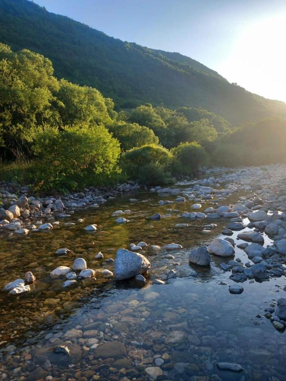 a river with rocks and trees in the background at kamp andrea in Šavnik