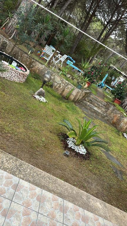 an aerial view of a garden with a plant at Silvana Home in Marina di Sorso