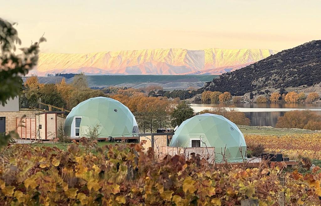 Glamping Dome - Pinot - Resim 9
